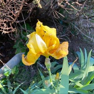 Meet your Posher, Aimee